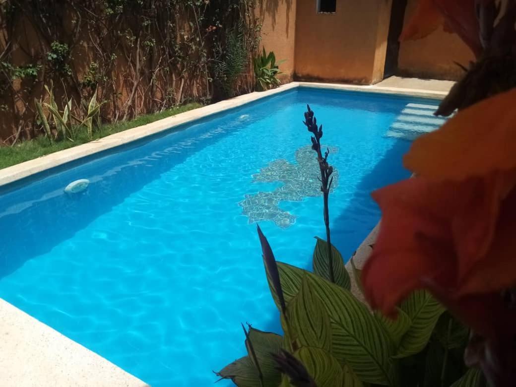Villa Dallie ซาลี ปอร์ตูดัล ภายนอก รูปภาพ